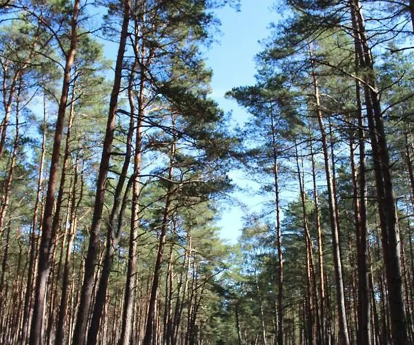 Apartamento Mariva B106 Z Balkonem - - Przy Samym Morzu - Obiekt Euronia *