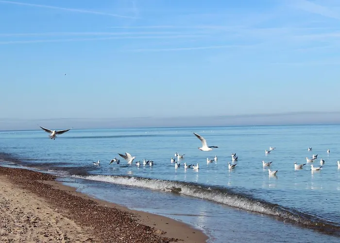 Apartamento Mariva B106 Z Balkonem - - Przy Samym Morzu - Obiekt Euronia *